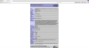 phpinfo pantaila argazkia